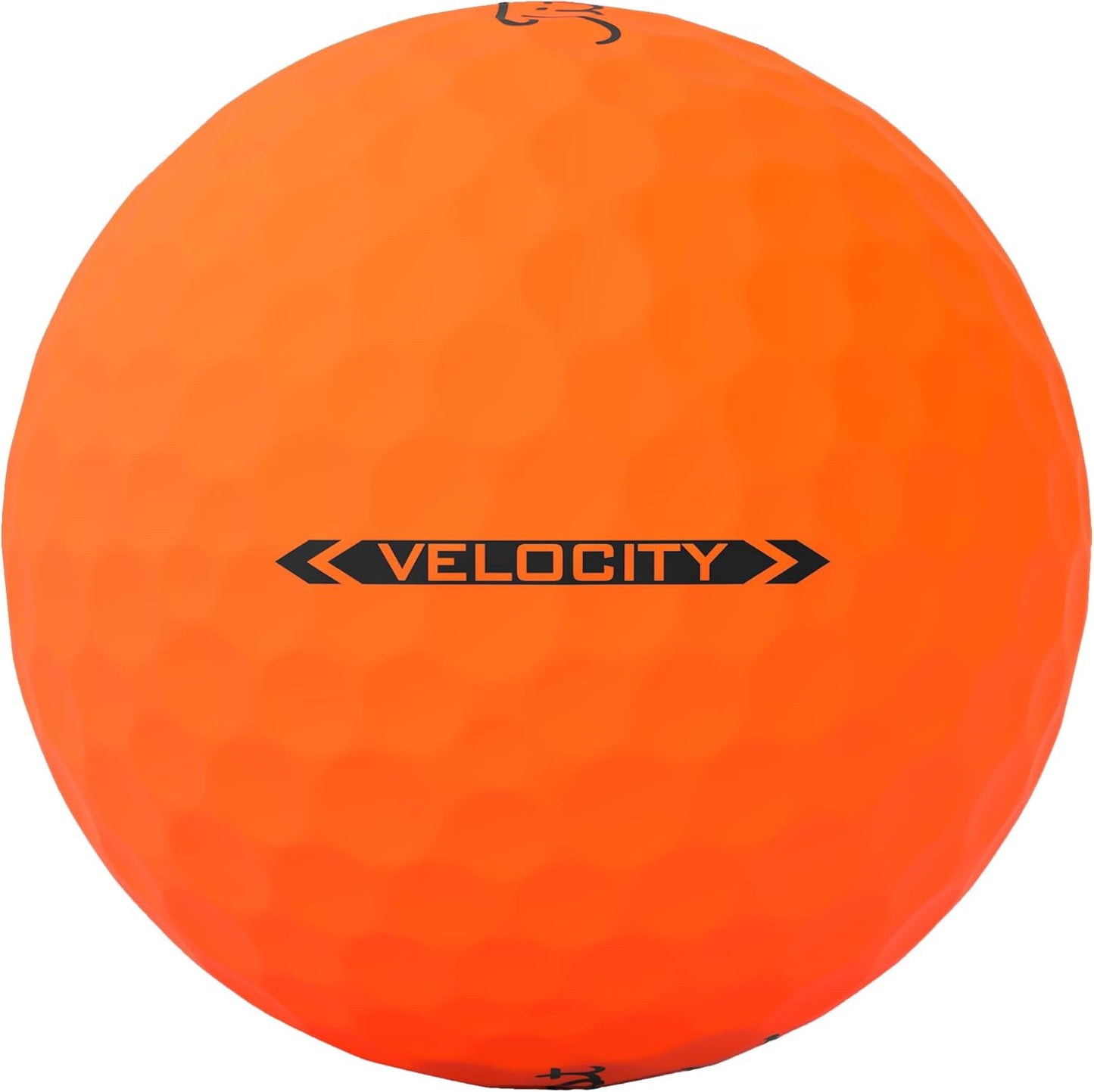 2025 Velocity